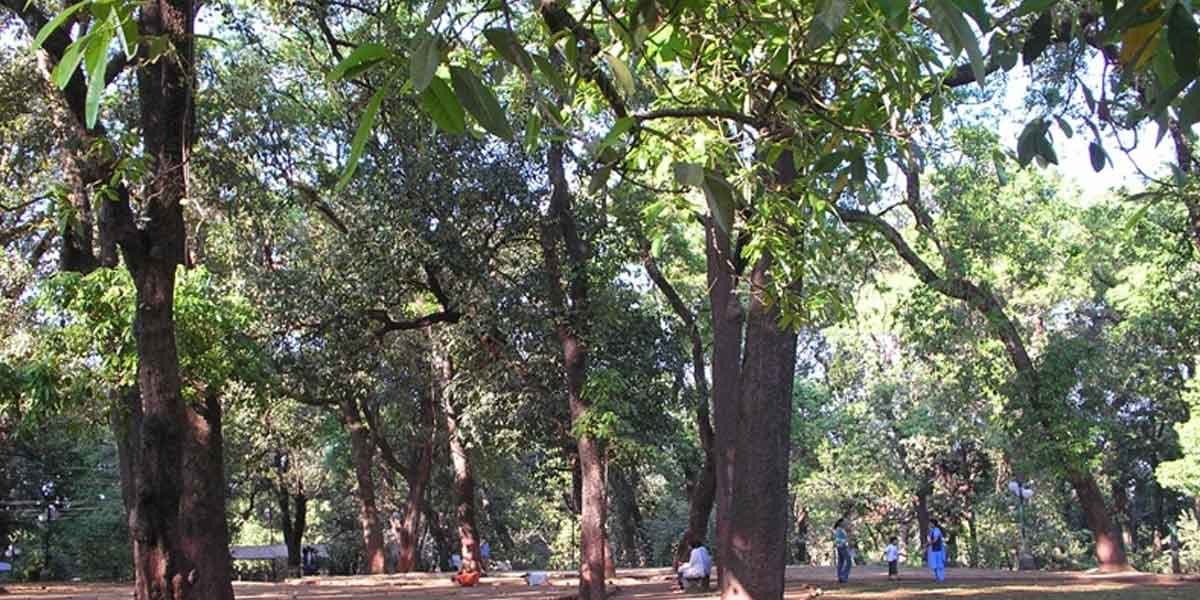 Ajinkya Jadhav Photography